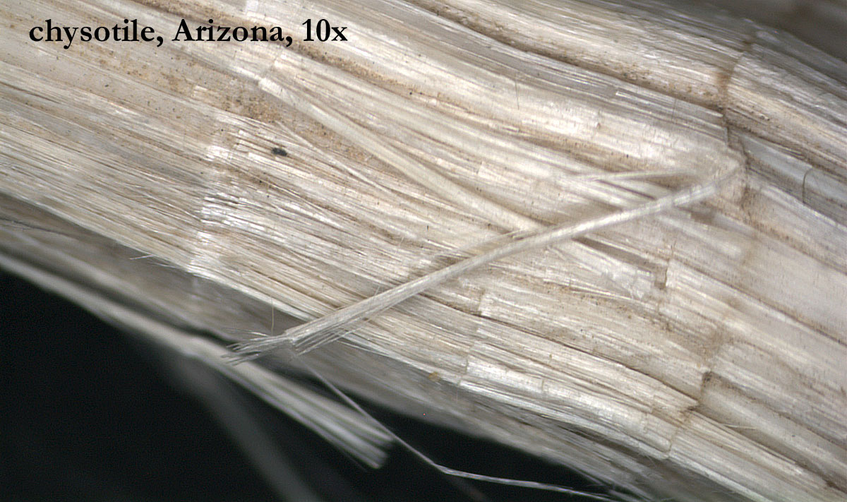 Fiberquant Asbestos Images